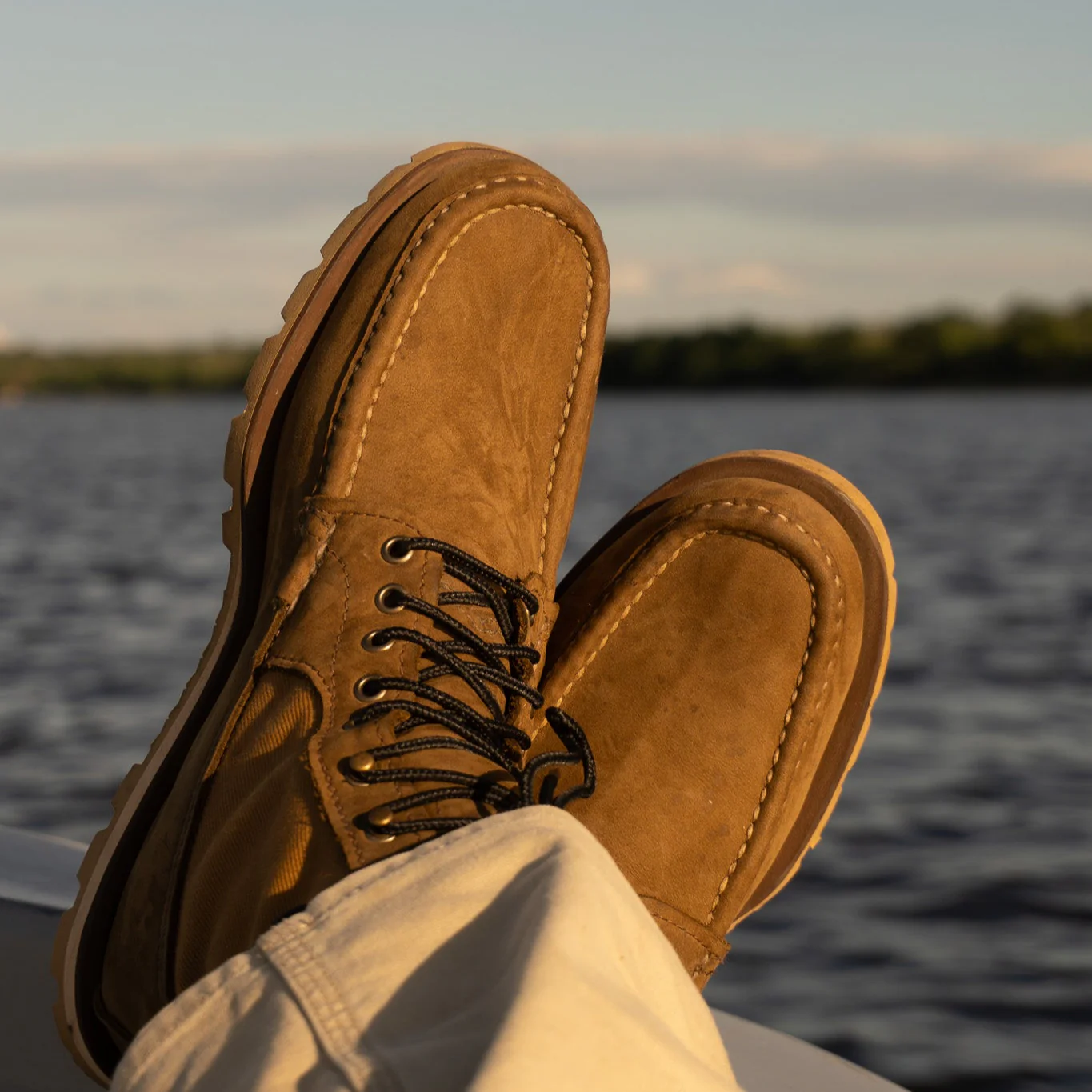 The Safari - Image 7